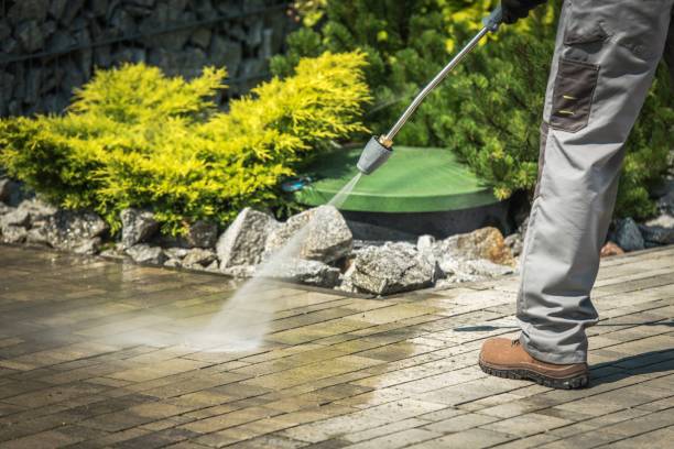 Best Animal Enclosure Cleaning  in Gallatin, MO